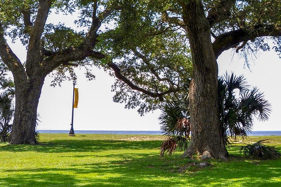 Gulf park campus overlooking the beach